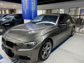 BMW 3 Series 320L 2019 2.0T
