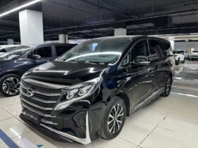2021 Guangqi M8 2.0T Premium