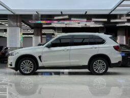 
										2014 model BMW X5 3.0T 4WD Elegance full									