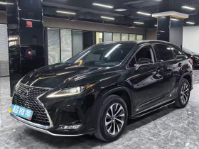 2020 Lexus RX300 2.0T 2WD