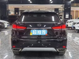 
										2020 Lexus RX300 2.0T 2WD full									