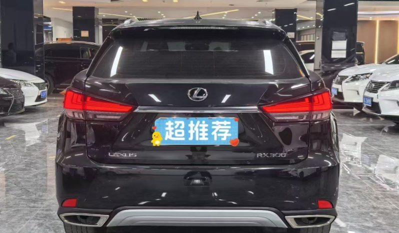 
								2020 Lexus RX300 2.0T 2WD full									