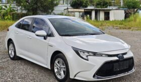 Elantra Hybrid 2020 (Hyundai) Demo